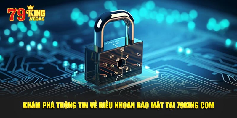 Khám phá thông tin về điều khoản tại 79KING COM Khám phá thông tin về điều khoản tại 79KING COM